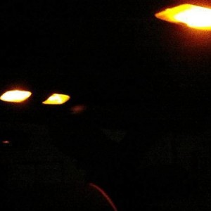 Jumpers LEDs Amber Kit