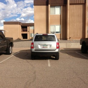 Great parking... Wish I could park my passenger side right against the driv