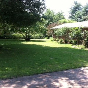 Front yard
