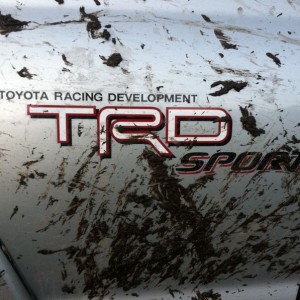 Gotta rep the Sport!