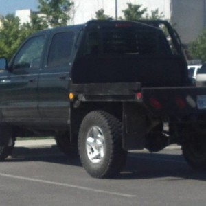 Spotted