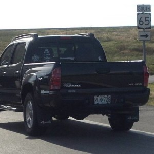Spotted