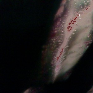 Drive thru car wash.. Looks like blood in the soap