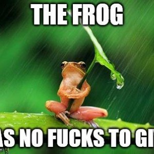 Frog_NGF