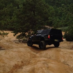 tree wheelin