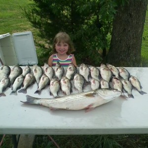 24 white perch and a 29" striper. In 2 hours fishing.