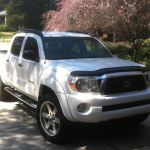 The day I got her