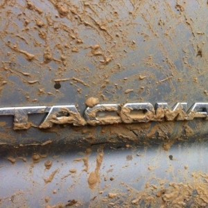 Tacoma Mud