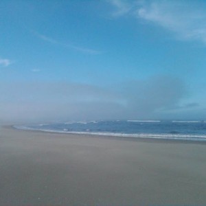 IMG00603-20130803-0858