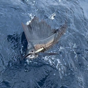 98291CCD-2F73-4AC5-97B8-ABCAC468232E