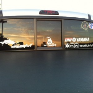 Window Stickers