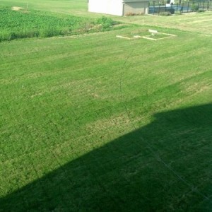 Yard is coming along nicely
