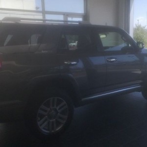 New addition to the family