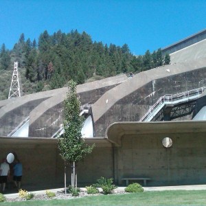IMG00613-20130804-1133