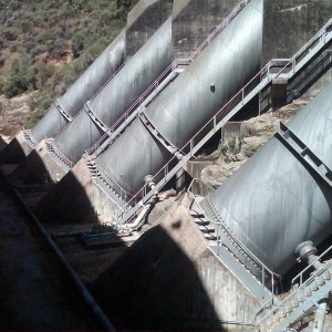IMG00612-20130804-1131