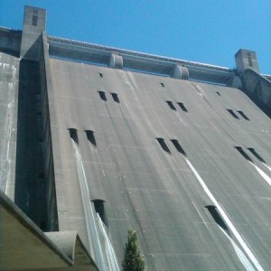IMG00620-20130804-1212