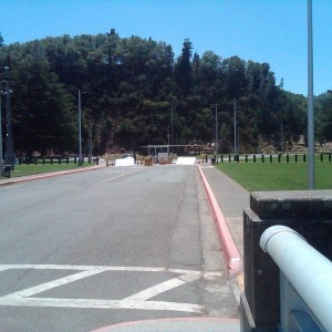 IMG00623-20130804-1233