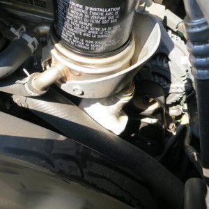 dealer oil change