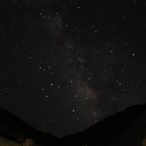 IMG_58651