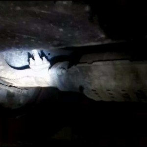 Traffic Cone VS. Cat and downpipe