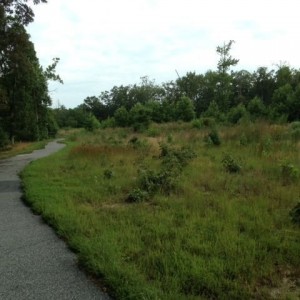 I used to play golf here.
