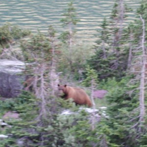 Glaciere NP