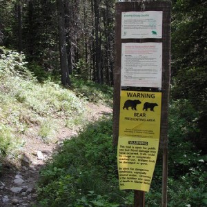 Glacier NP