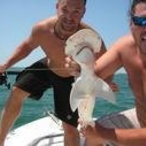 shark fishing