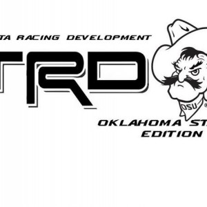 TRD_OSU_bedside_logo