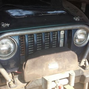 March Customs winch gaurd