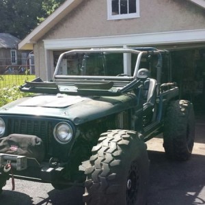 March Customs roll cage