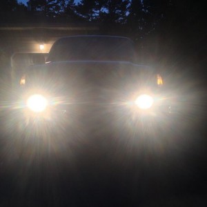 Fogs