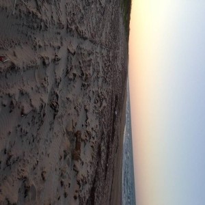 Looking_North