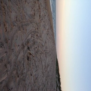 Looking_South