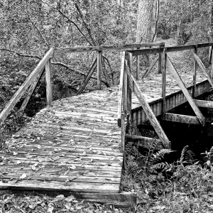 Old Bridge 1