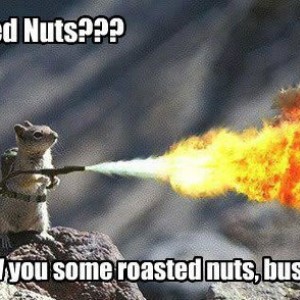 roasted