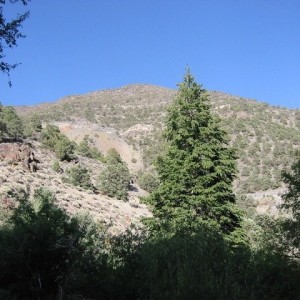 Camp_View-2