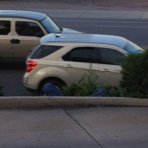 About to watch this passed out hobo in a bush outside Popeyes get busted.