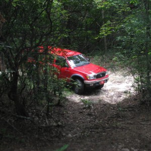 IMG_14425