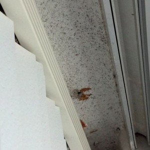 Is it normal for people to epoxy blind anchors to the ceiling? Because I&#0