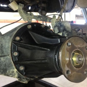 Needs dirt