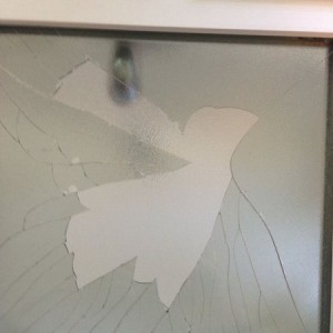 Almost looks like a bird flew into the window