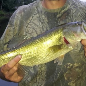 LAKE_X_BASS2