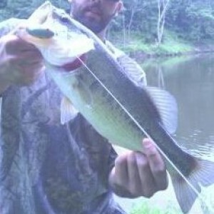 LAKE_X_BASS