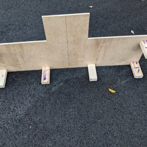 dog platform
