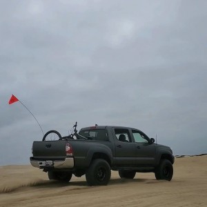 On the dunes!
