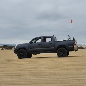 cruise
