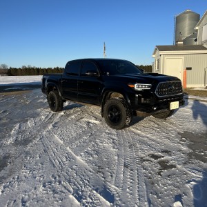 Trd pro fog lights