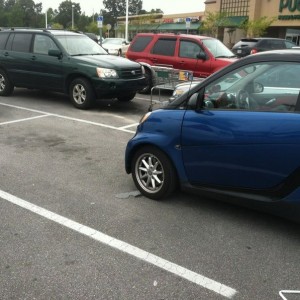 Sometimes parking correctly is to much to ask.