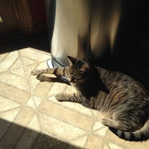 Just chillin, airing out mah pimp hand.